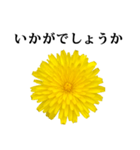 黄色い お花 と 敬語（個別スタンプ：31）