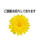 黄色い お花 と 敬語（個別スタンプ：32）