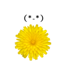 黄色い お花 と 敬語（個別スタンプ：34）