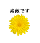 黄色い お花 と 敬語（個別スタンプ：35）