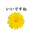 黄色い お花 と 敬語（個別スタンプ：36）