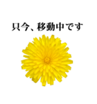 黄色い お花 と 敬語（個別スタンプ：38）