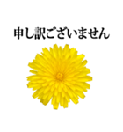 黄色い お花 と 敬語（個別スタンプ：39）
