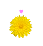 黄色い お花 と 敬語（個別スタンプ：40）