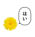 黄色い お花 と ふきだし（個別スタンプ：1）
