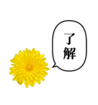 黄色い お花 と ふきだし（個別スタンプ：2）