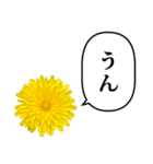 黄色い お花 と ふきだし（個別スタンプ：3）