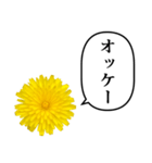 黄色い お花 と ふきだし（個別スタンプ：4）