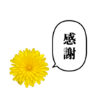 黄色い お花 と ふきだし（個別スタンプ：9）
