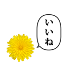 黄色い お花 と ふきだし（個別スタンプ：10）