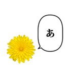黄色い お花 と ふきだし（個別スタンプ：12）
