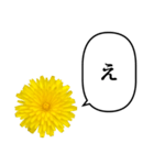 黄色い お花 と ふきだし（個別スタンプ：13）