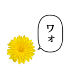 黄色い お花 と ふきだし（個別スタンプ：14）