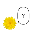 黄色い お花 と ふきだし（個別スタンプ：15）