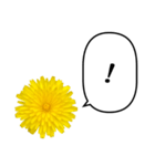 黄色い お花 と ふきだし（個別スタンプ：16）