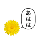 黄色い お花 と ふきだし（個別スタンプ：17）