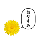 黄色い お花 と ふきだし（個別スタンプ：18）