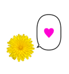 黄色い お花 と ふきだし（個別スタンプ：19）