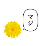 黄色い お花 と ふきだし（個別スタンプ：20）