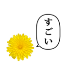 黄色い お花 と ふきだし（個別スタンプ：23）