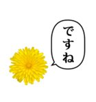 黄色い お花 と ふきだし（個別スタンプ：24）
