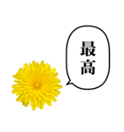 黄色い お花 と ふきだし（個別スタンプ：26）