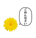 黄色い お花 と ふきだし（個別スタンプ：27）