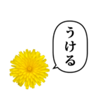 黄色い お花 と ふきだし（個別スタンプ：29）