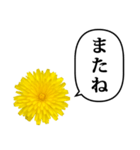 黄色い お花 と ふきだし（個別スタンプ：30）
