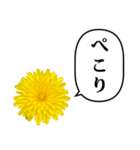 黄色い お花 と ふきだし（個別スタンプ：31）