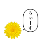 黄色い お花 と ふきだし（個別スタンプ：33）