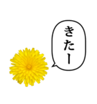 黄色い お花 と ふきだし（個別スタンプ：34）