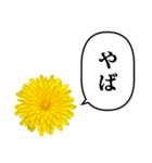 黄色い お花 と ふきだし（個別スタンプ：35）