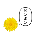 黄色い お花 と ふきだし（個別スタンプ：36）