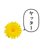 黄色い お花 と ふきだし（個別スタンプ：37）