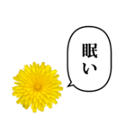 黄色い お花 と ふきだし（個別スタンプ：39）