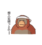 わかねぇ迷言集スタンプ（個別スタンプ：11）