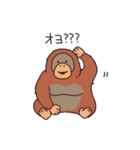 わかねぇ迷言集スタンプ（個別スタンプ：12）