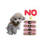 うりくん.02（個別スタンプ：2）