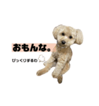 うりくん.02（個別スタンプ：4）