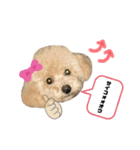 うりくん.02（個別スタンプ：6）