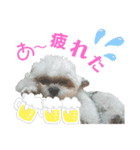 チョップとつくねのお家（個別スタンプ：2）