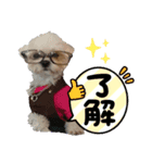 チョップとつくねのお家（個別スタンプ：4）