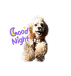 American cocer spaniel（個別スタンプ：9）