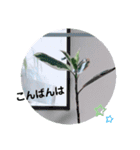 Botanicalスタンプ（個別スタンプ：3）