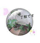 Botanicalスタンプ（個別スタンプ：5）