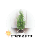 Botanicalスタンプ（個別スタンプ：6）