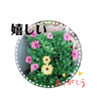 Botanicalスタンプ（個別スタンプ：13）