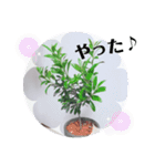 Botanicalスタンプ（個別スタンプ：16）