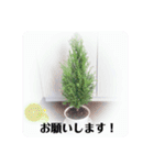 Botanicalスタンプ（個別スタンプ：21）